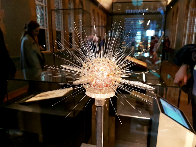 Glass sea urchin at the Natural History Museum, London